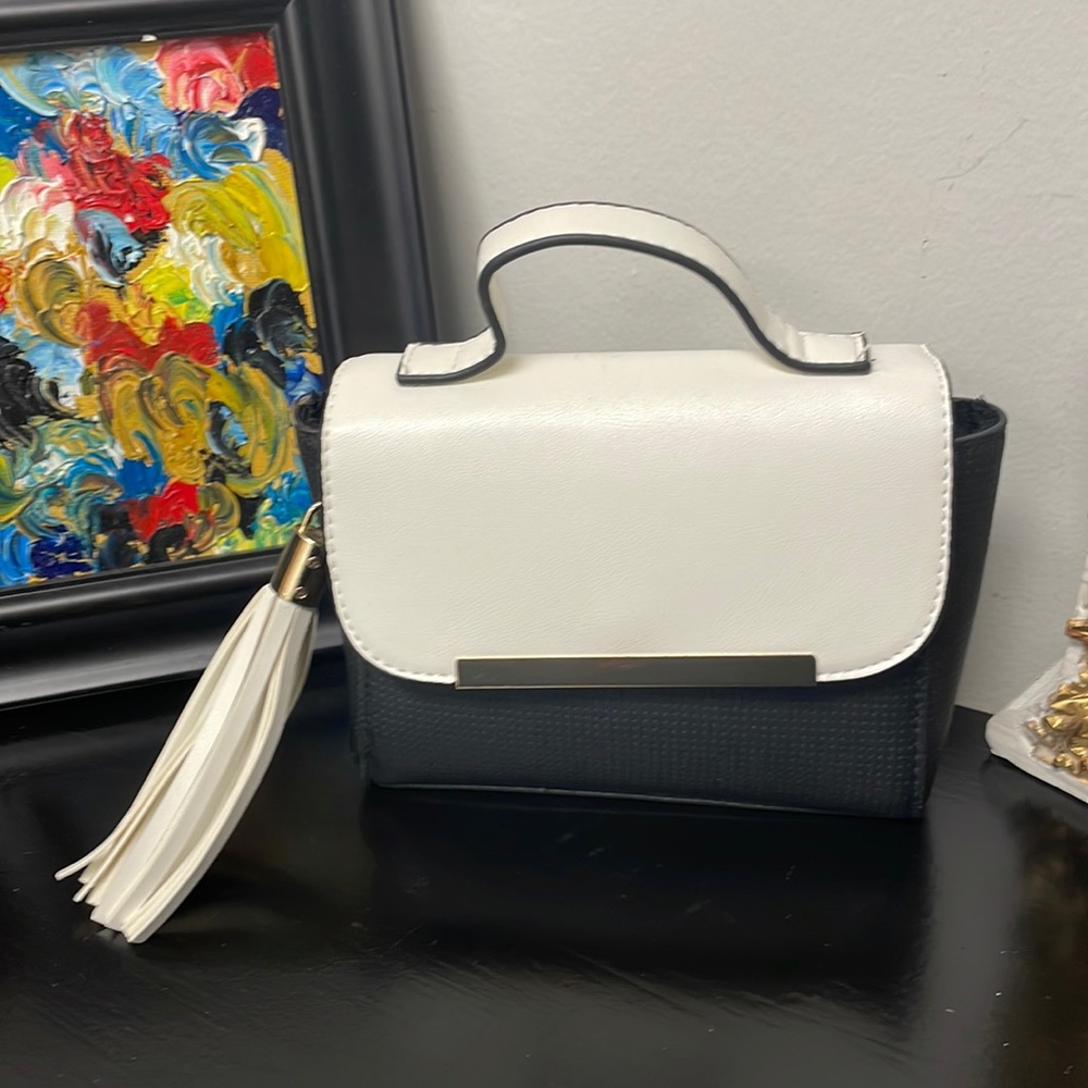 Black & Off White Mini Handbag